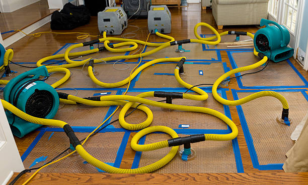 Professional Sewage Cleanup technician working in Enon, OH